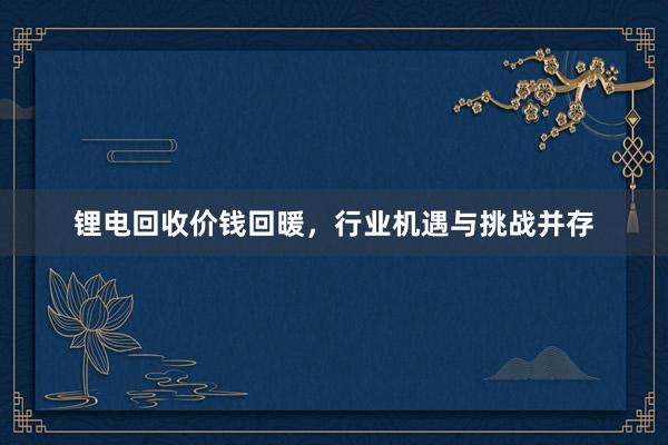 锂电回收价钱回暖，行业机遇与挑战并存