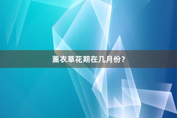 薰衣草花期在几月份？