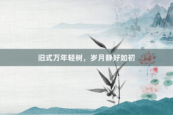 旧式万年轻树，岁月静好如初