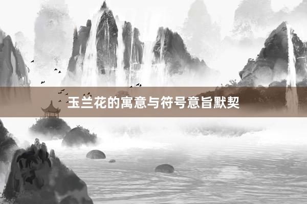 玉兰花的寓意与符号意旨默契