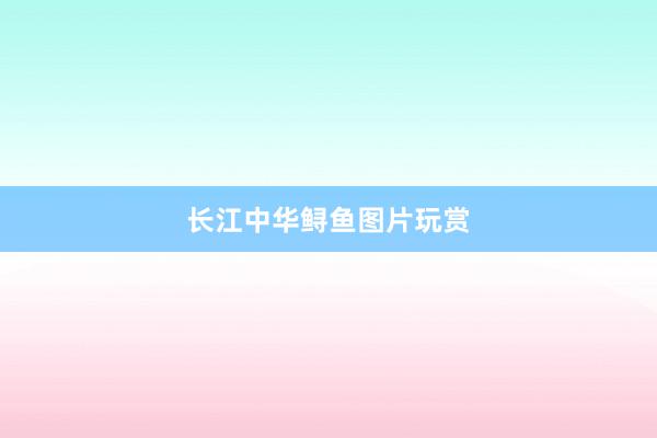 长江中华鲟鱼图片玩赏