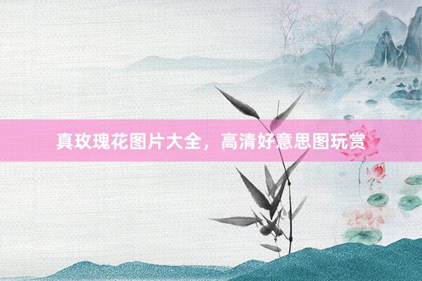 真玫瑰花图片大全，高清好意思图玩赏